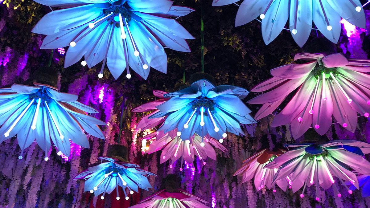 Interactive LED flower installation